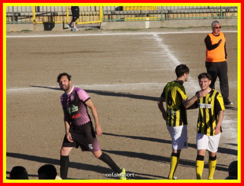 190310 Cephal_Torrenov 213_tn.jpg